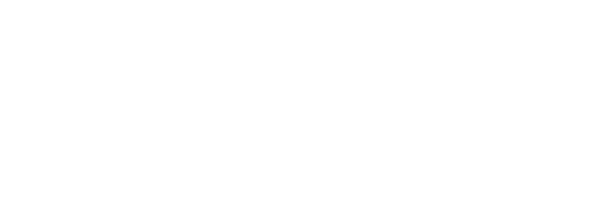 DigiiVistta